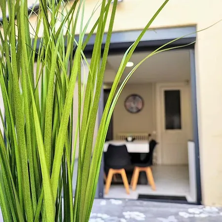 Tatil Evi Manoir Des Lumieres 5 Ch Terrasse Wifi 5 Sdb