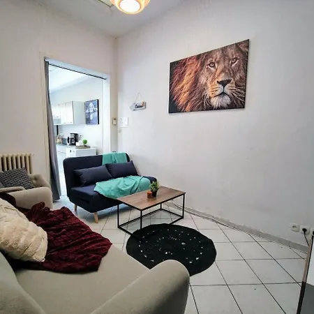Manoir Des Lumieres 5 Ch Terrasse Wifi 5 Sdb Roubaix