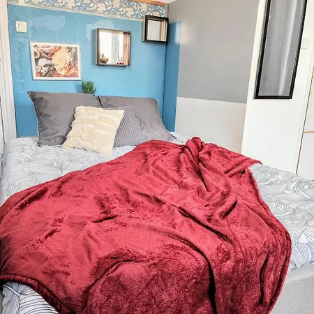Manoir Des Lumieres 5 Ch Terrasse Wifi 5 Sdb Roubaix