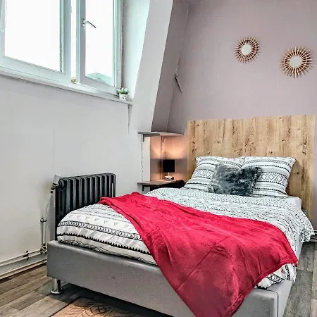 Manoir Des Lumieres 5 Ch Terrasse Wifi 5 Sdb Roubaix