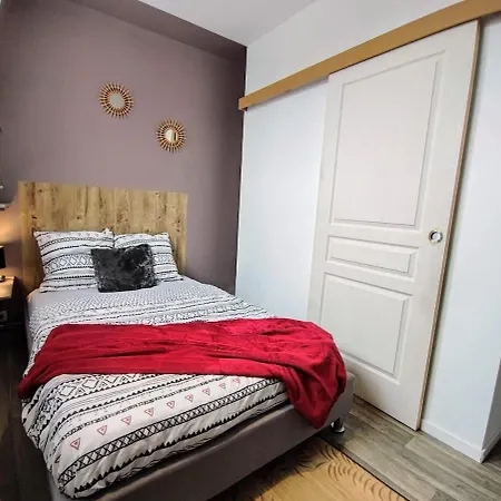 Manoir Des Lumieres 5 Ch Terrasse Wifi 5 Sdb Roubaix