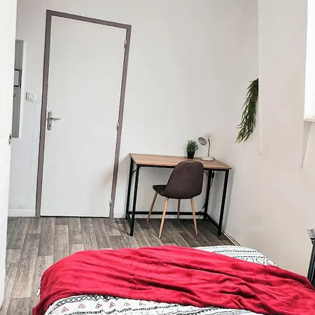 Manoir Des Lumieres 5 Ch Terrasse Wifi 5 Sdb * Roubaix
