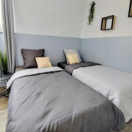 Manoir Des Lumieres 5 Ch Terrasse Wifi 5 Sdb Tatil Evi Roubaix