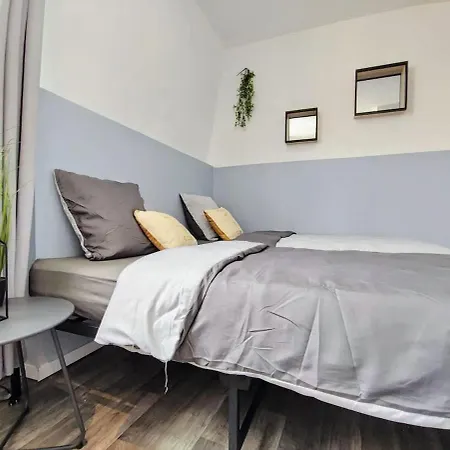 Tatil Evi Manoir Des Lumieres 5 Ch Terrasse Wifi 5 Sdb Roubaix